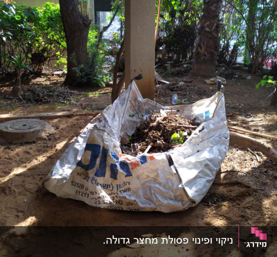 שק גדול מלא בעלים וענפים בגינה מוצלת